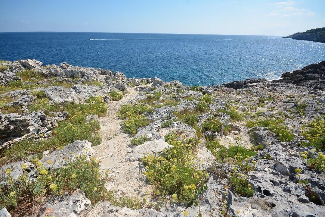 Common path to Flat Rocky cove