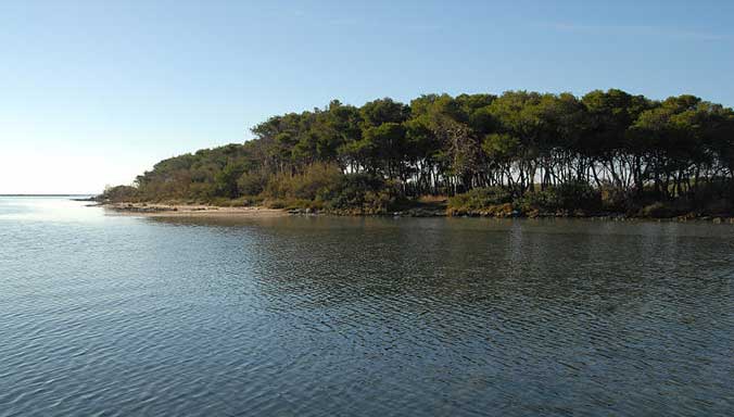 isola dei conigli