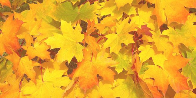8 choses à faire dans les Pouilles en automne