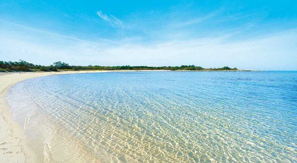 Scopriamo di più sulle 11 spiagge Bandiere blu della Puglia