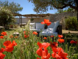 Paix dans les murs en pierres sèches : villa austère dans le Salento, immergée dans un parc privé