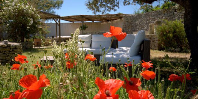 Paix dans les murs en pierres sèches : villa austère dans le Salento, immergée dans un parc privé