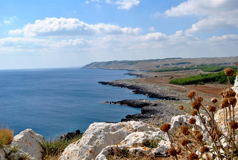 Veduta Costa Adriatica