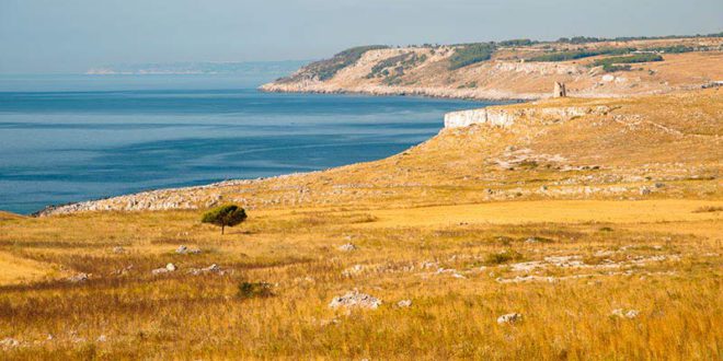 In viaggio: breve incontro con l’essenza del Salento