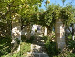 Reconverted hypogea and cave houses: three municipalities of the Salento hinterland to visit
