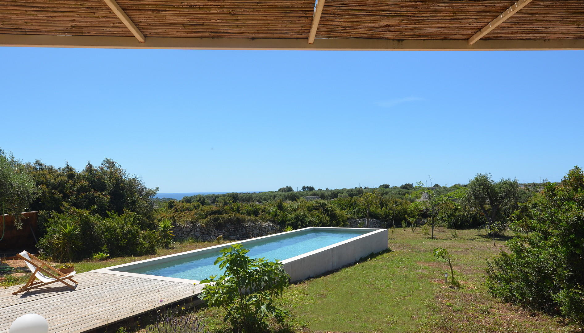 Swimming pool area 