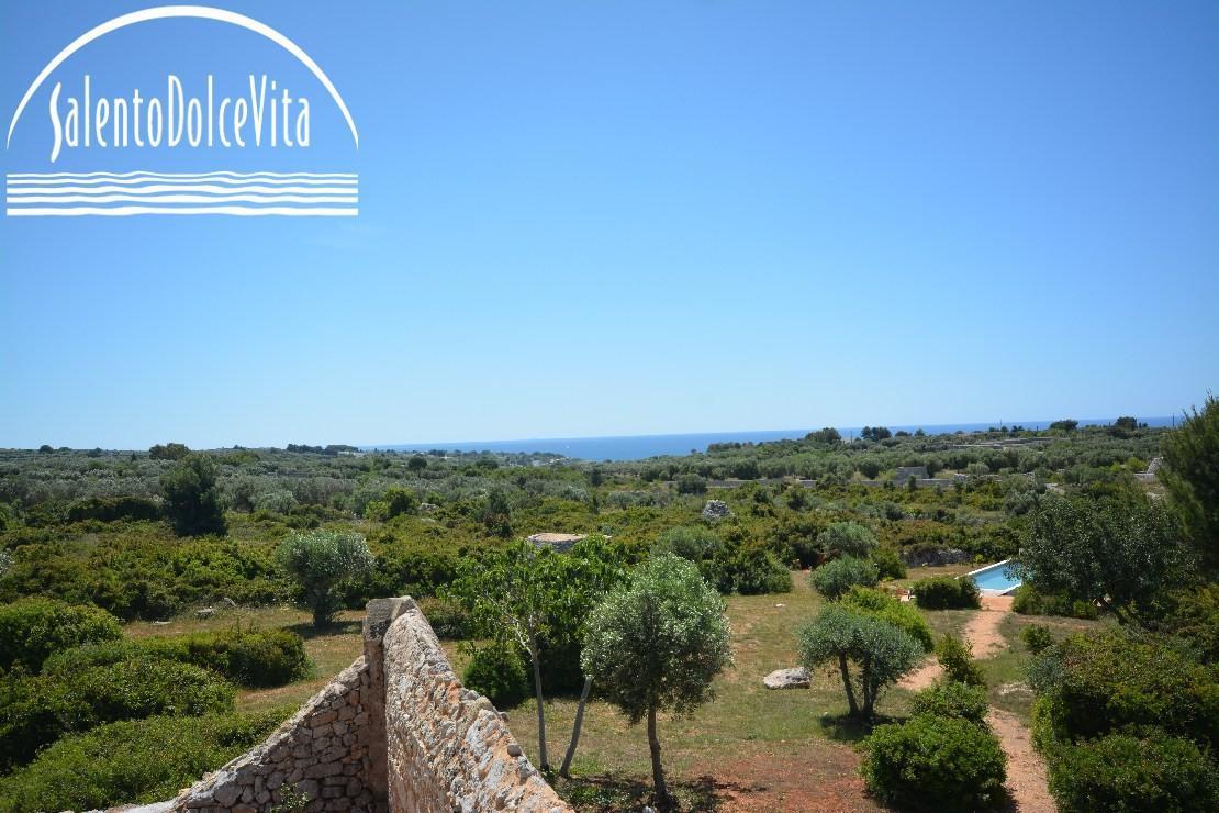 vue panoramique sur le paysage -terrase sur le toitpiscine 