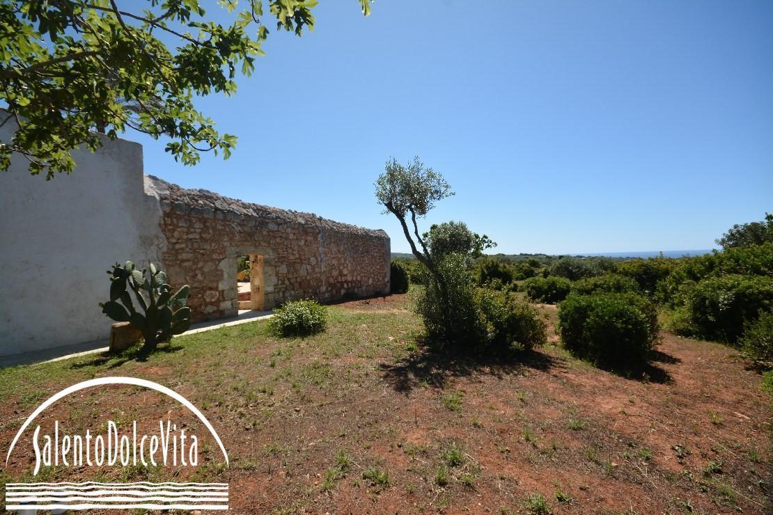 Garden & ancient walls