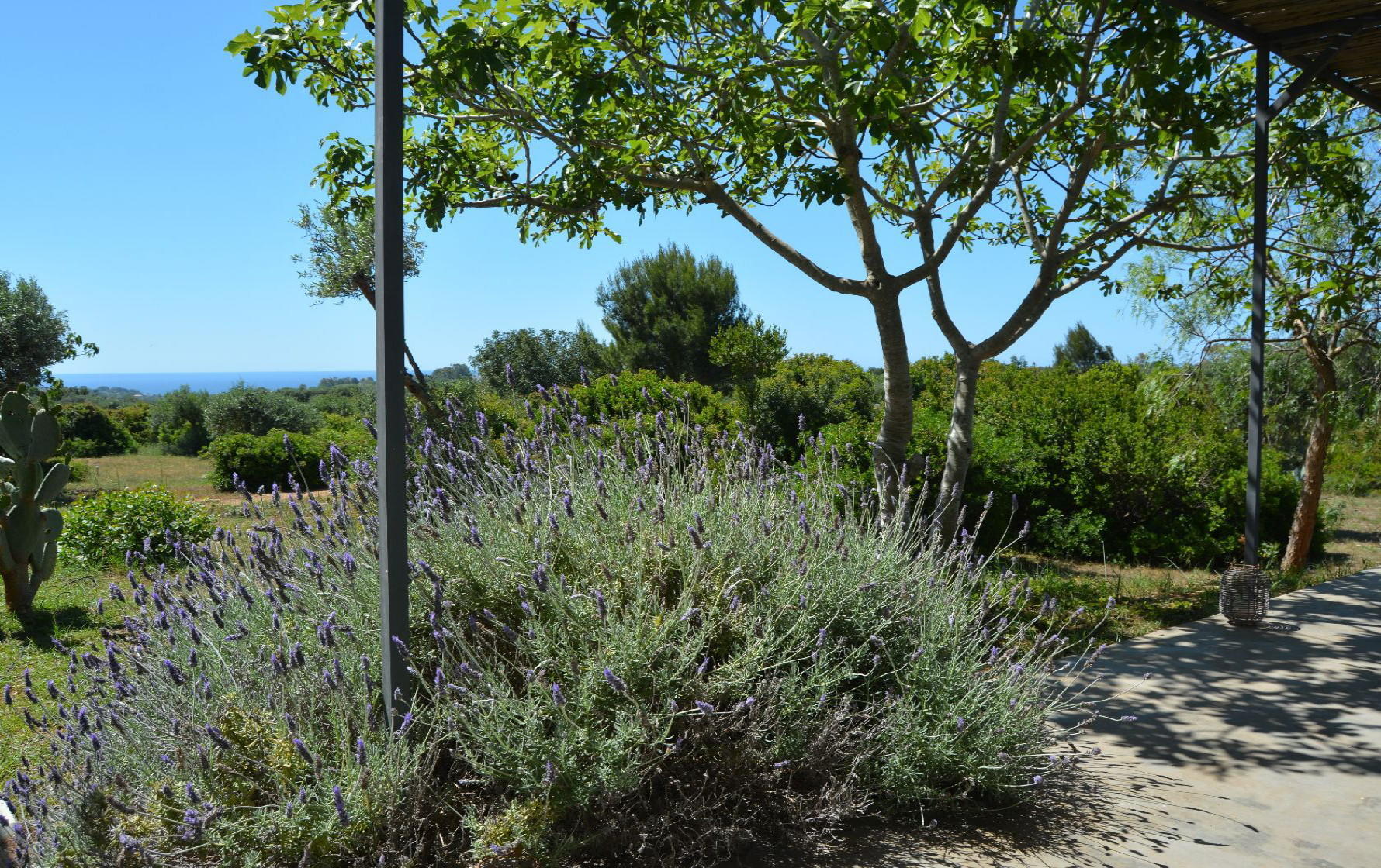 augestattete Pergola mit Meerblick