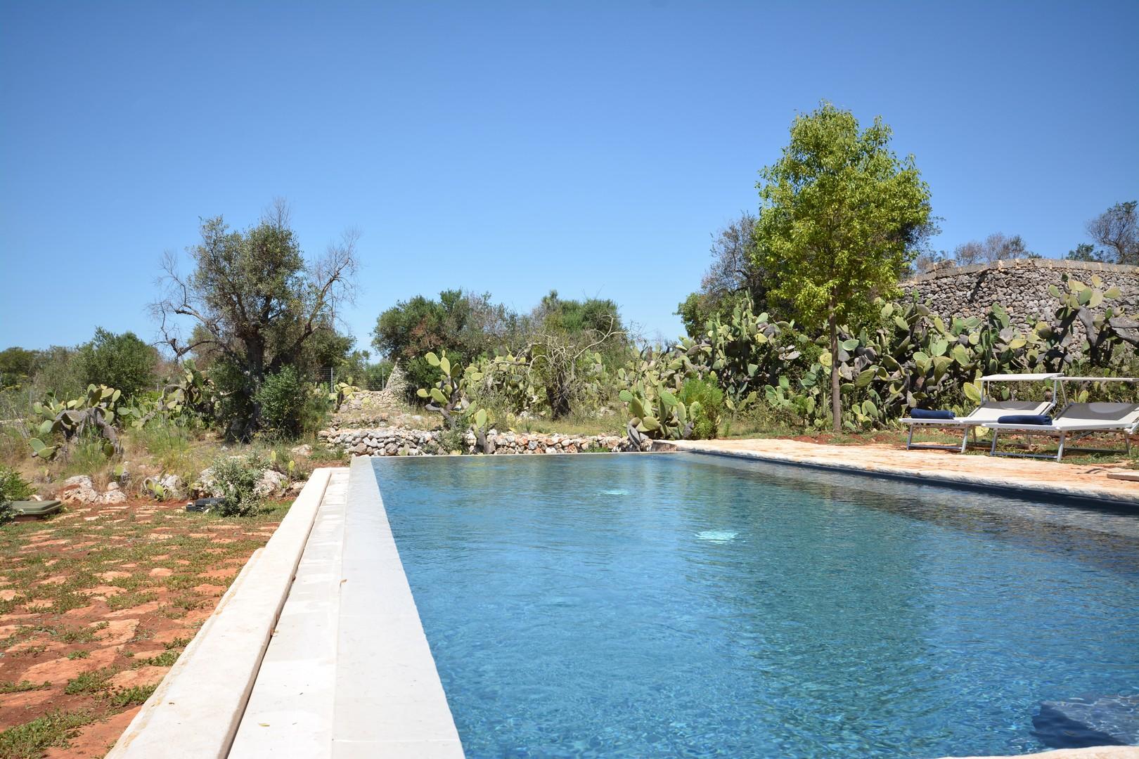 Swimming pool area with sea view