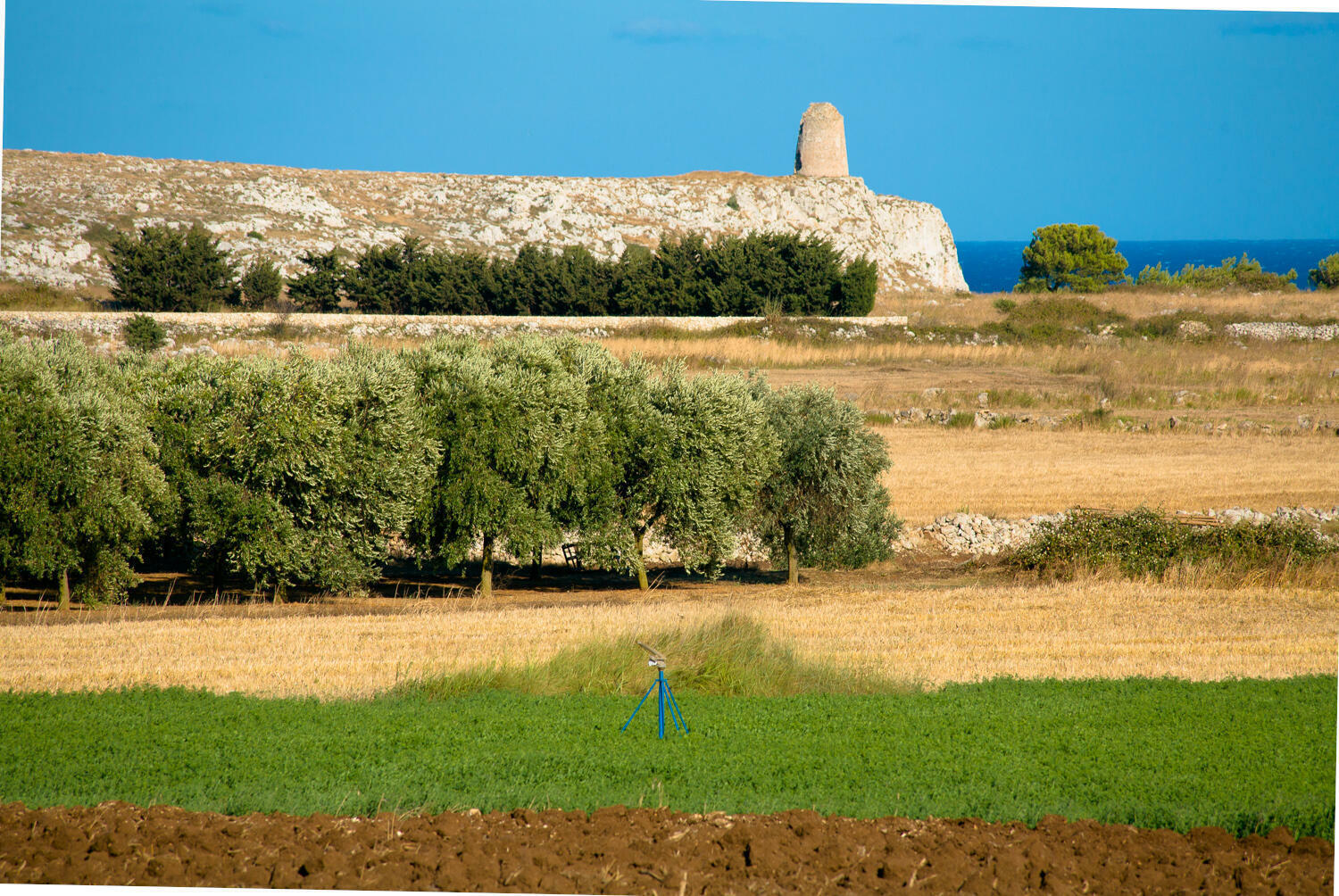 Otranto - Coastal landscape with ancient watchtowers
