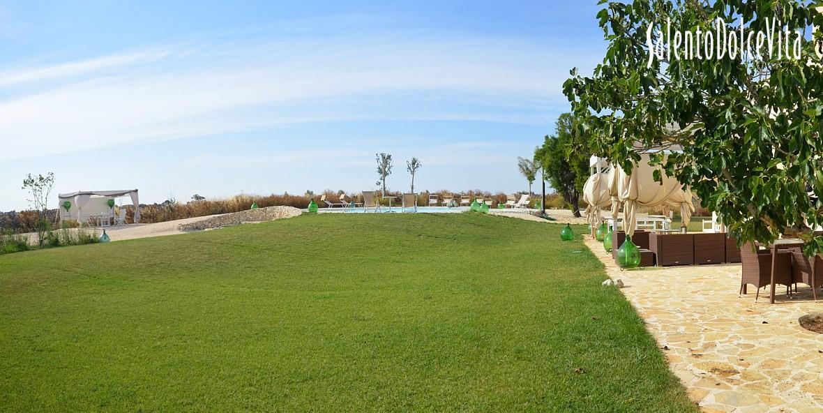 Garden and swimming pool