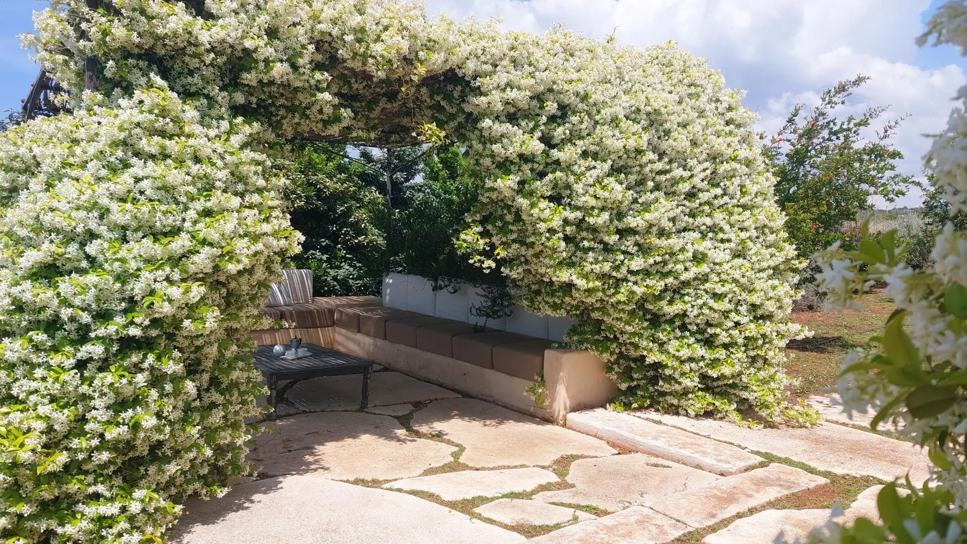 die Pergola mit Sofas mit Meerblick