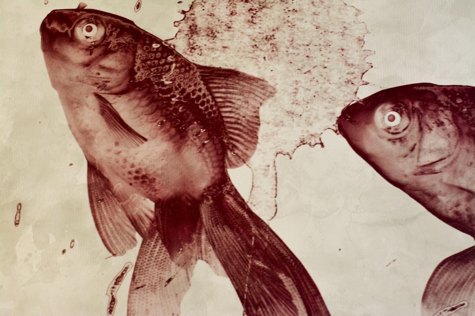 Primo piano - camera matrimoniale A - Bagno con vasca - particolare