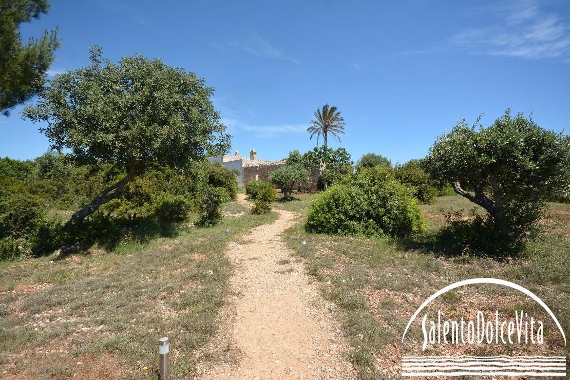 chemin d‘accès à la piscine
