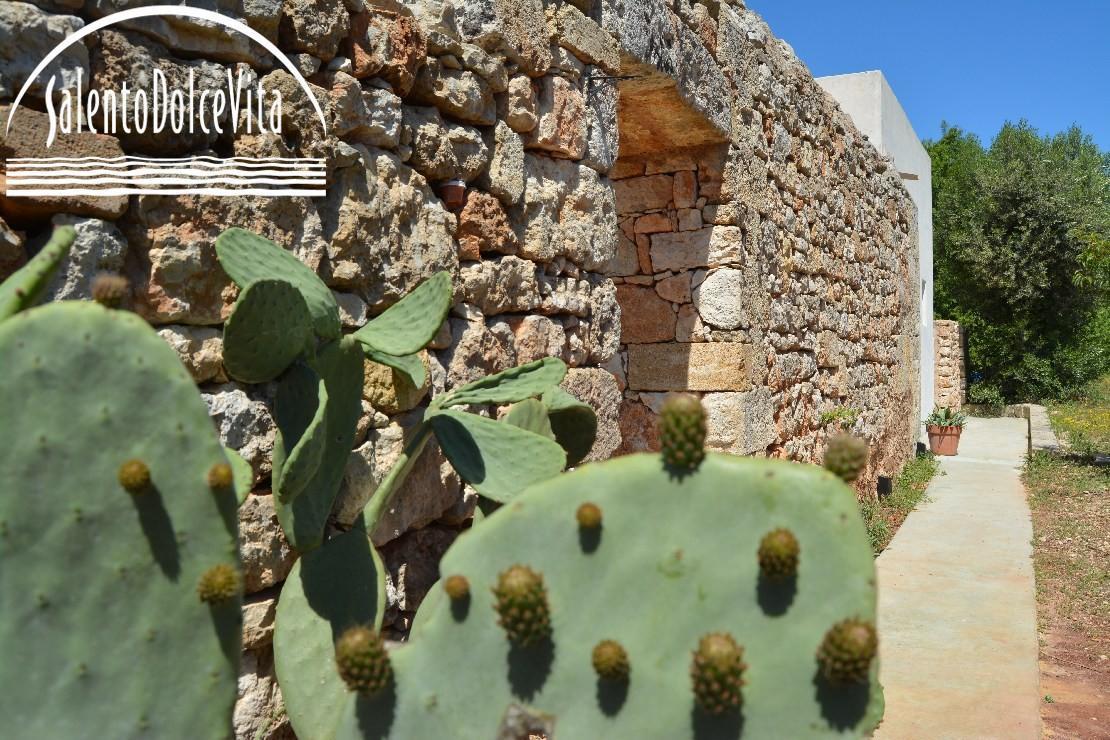 vue de la maison de derrière