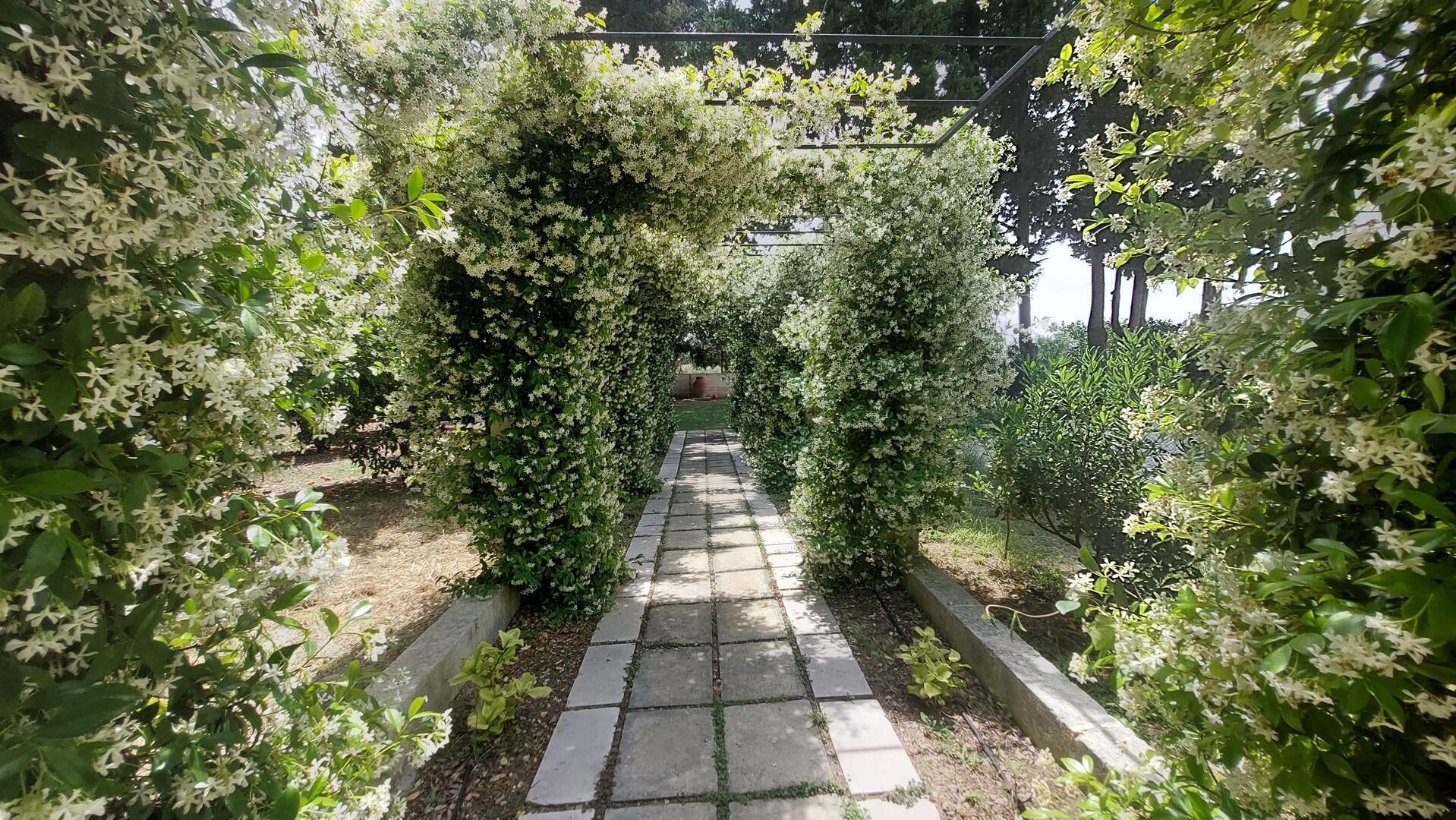 VILLA ARTESIA