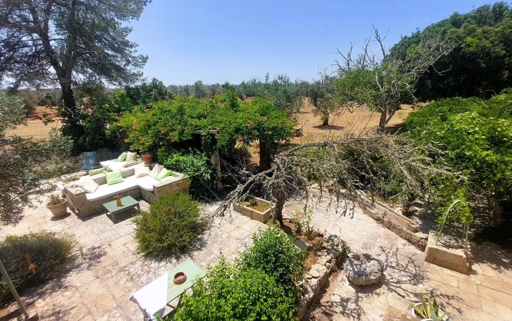 charming_villa_with_pool_to_rent_puglia_south_of_italy_masseria_don_mattia (18)