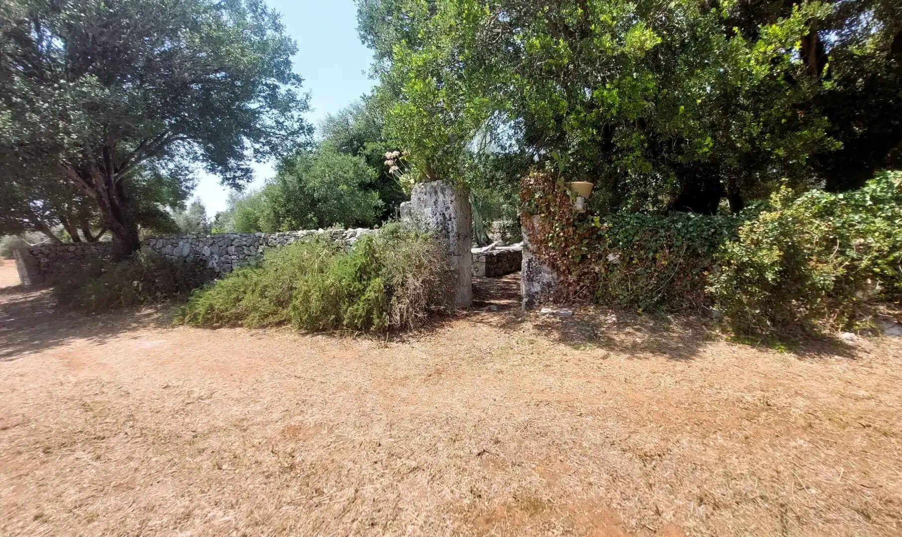 charming_villa_with_pool_to_rent_puglia_south_of_italy_masseria_don_mattia (95)
