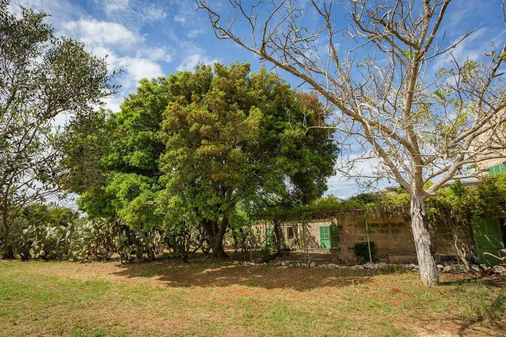 MASSERIA DON MATTIA - MAIN HOUSE