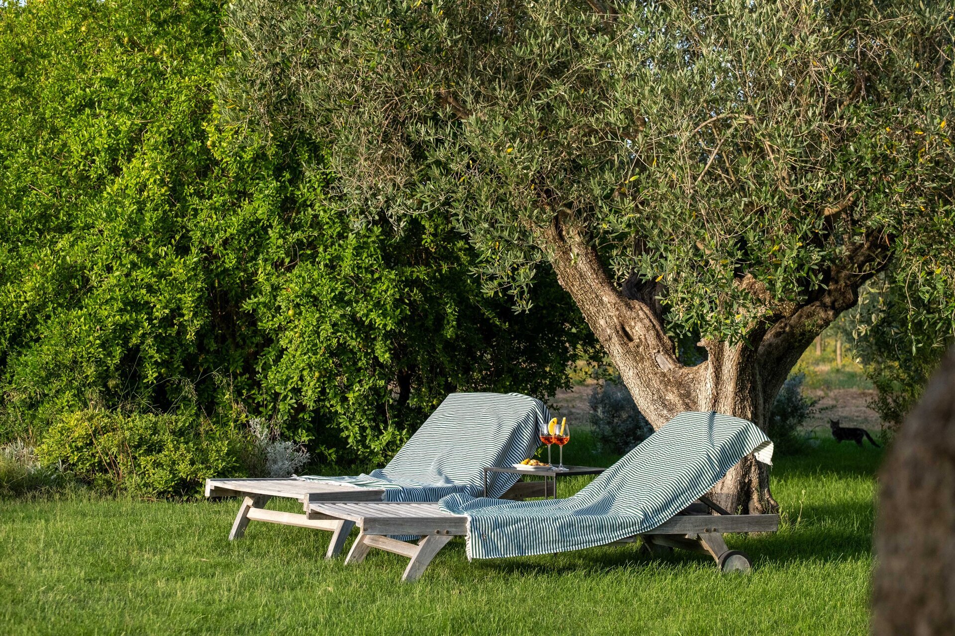 MASSERIA APOìKìA