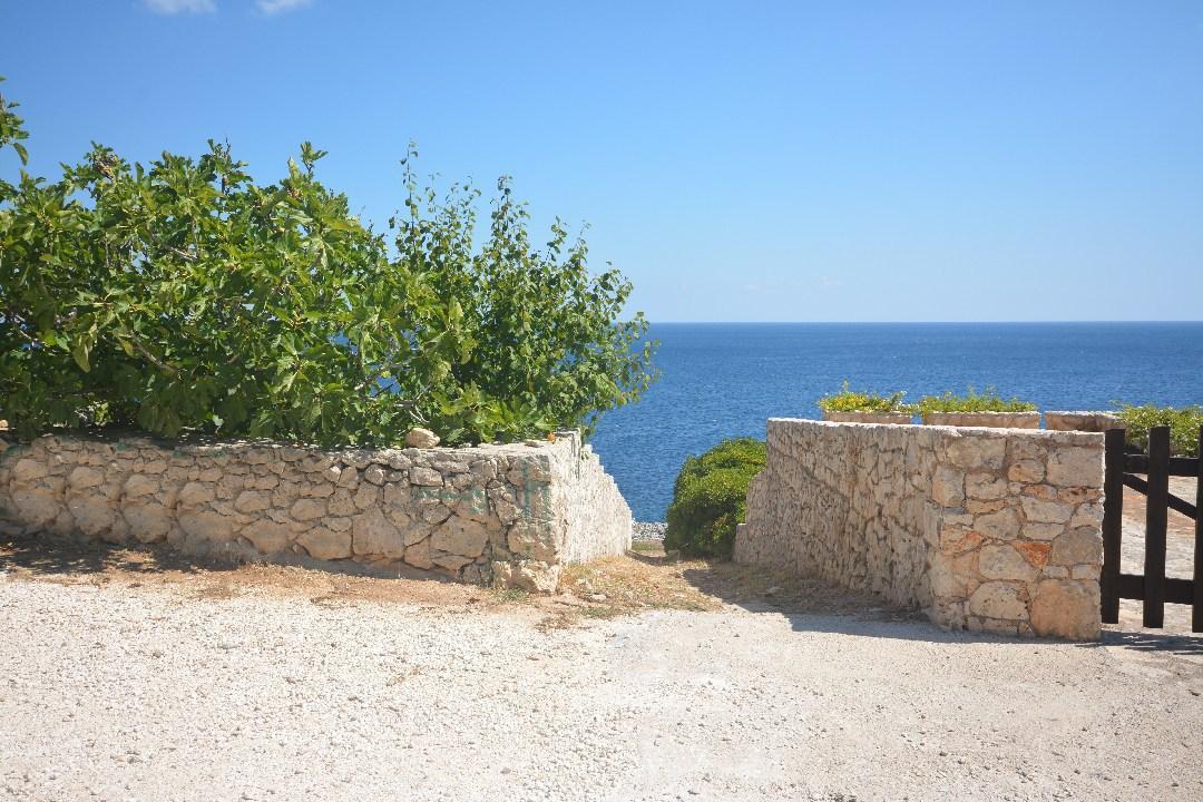 Common path to Flat Rocky cove