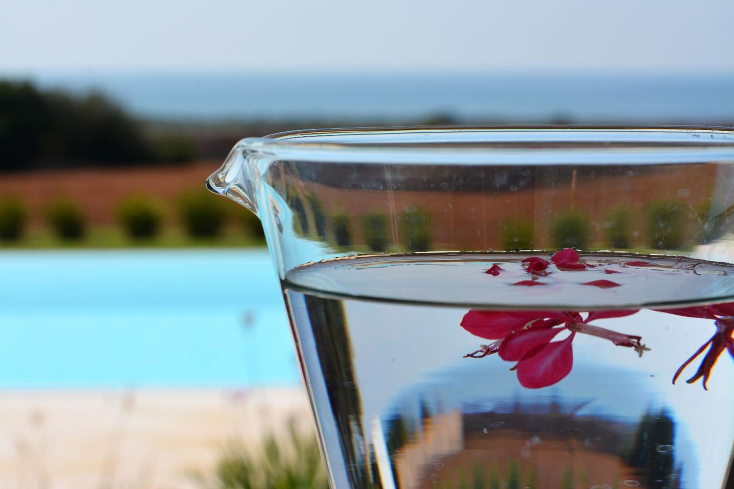 Patio meublé et équipé avec vue sur la mer détail