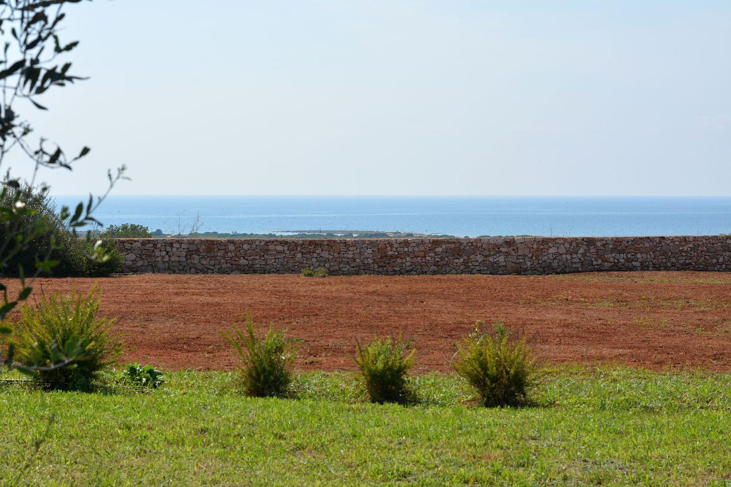 Giardino e colori del mare dettagli