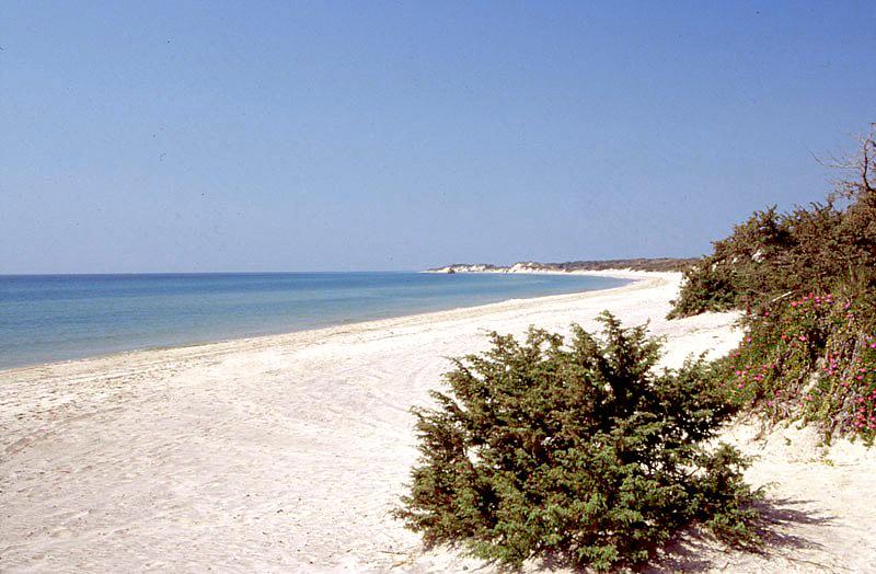 Alimini large sandy beach 17 Km