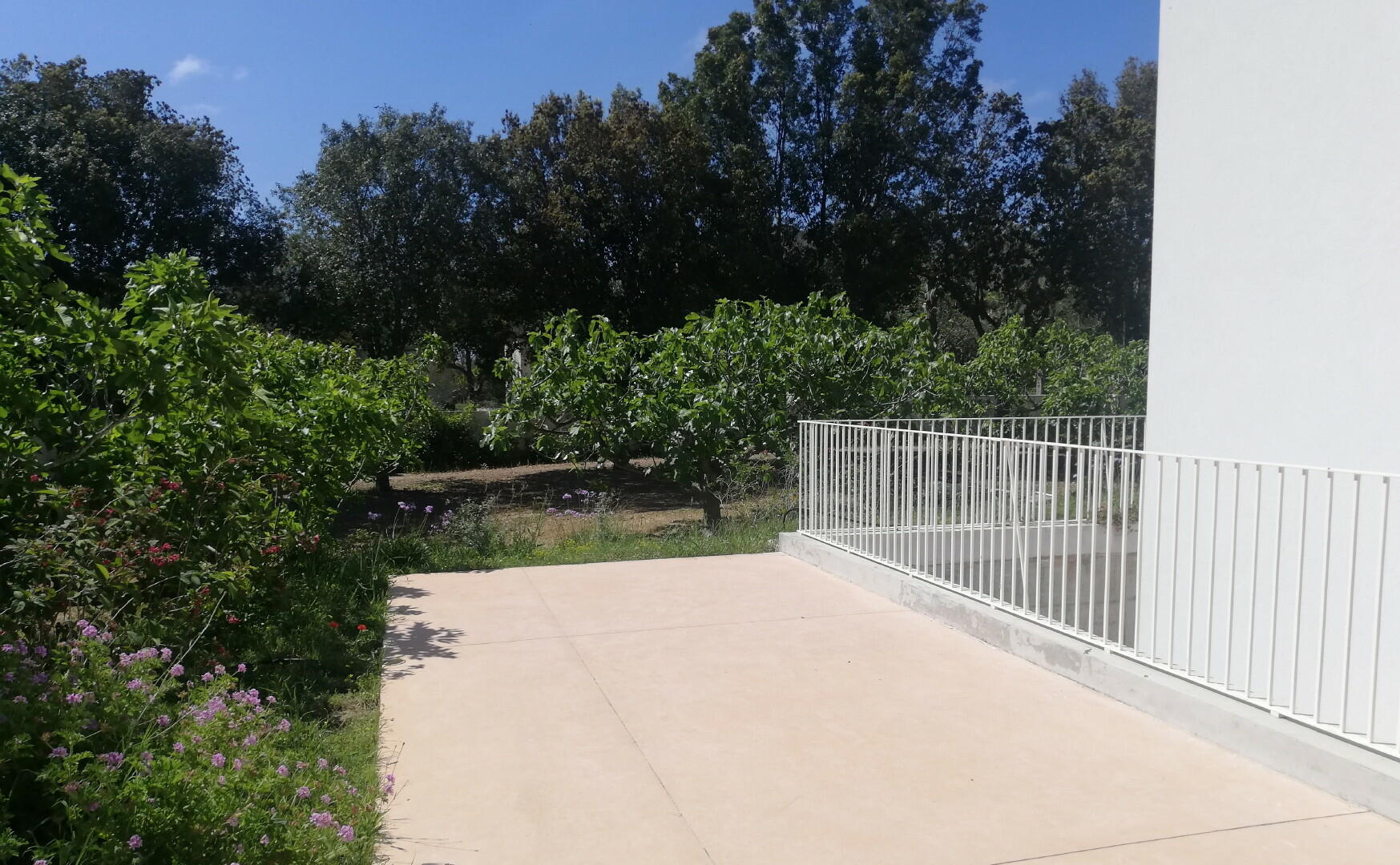 Terrace exterior avec escalier extérieur au sous-sol et chambre double D