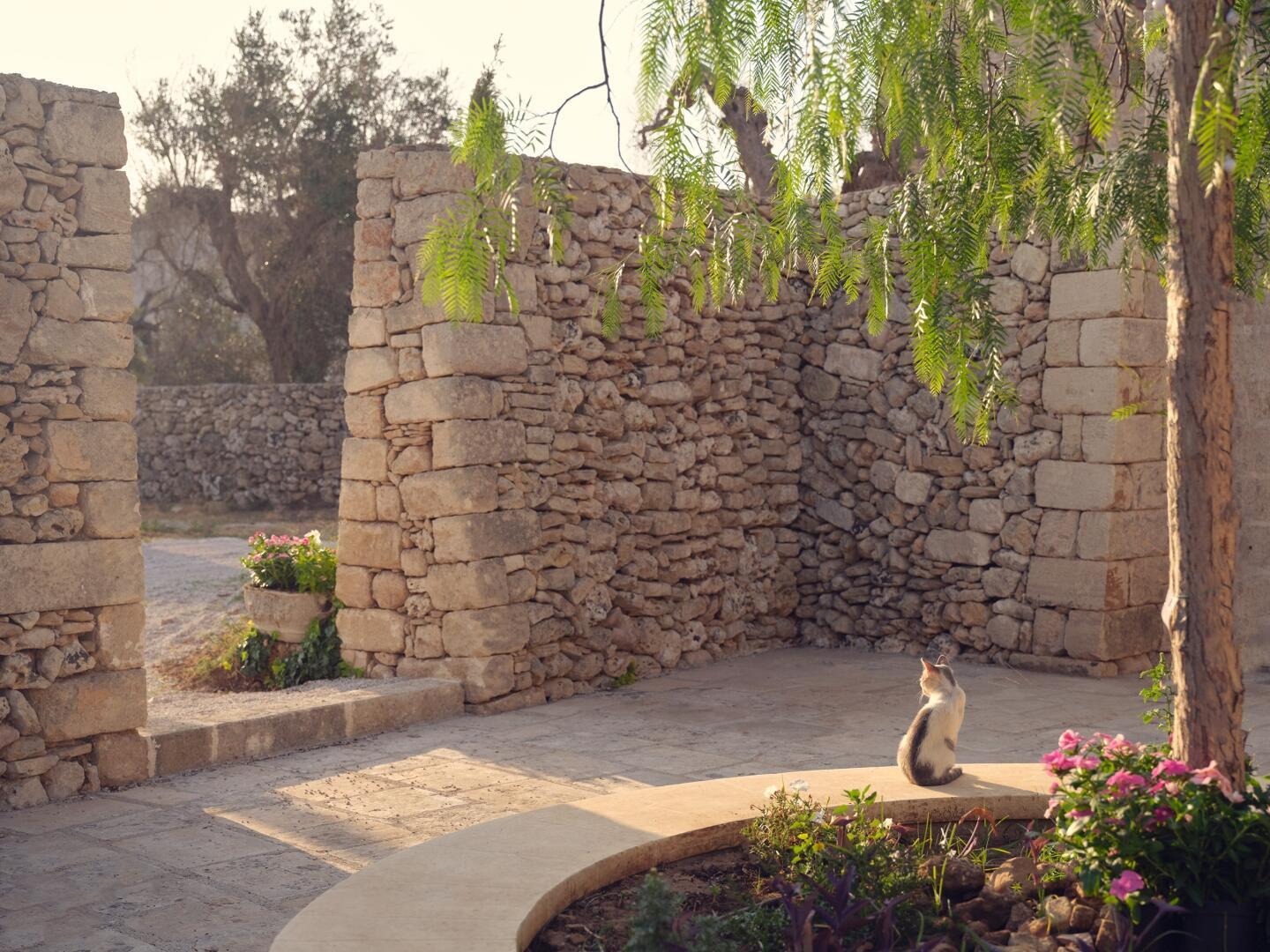 MASSERIA KALLIOPE