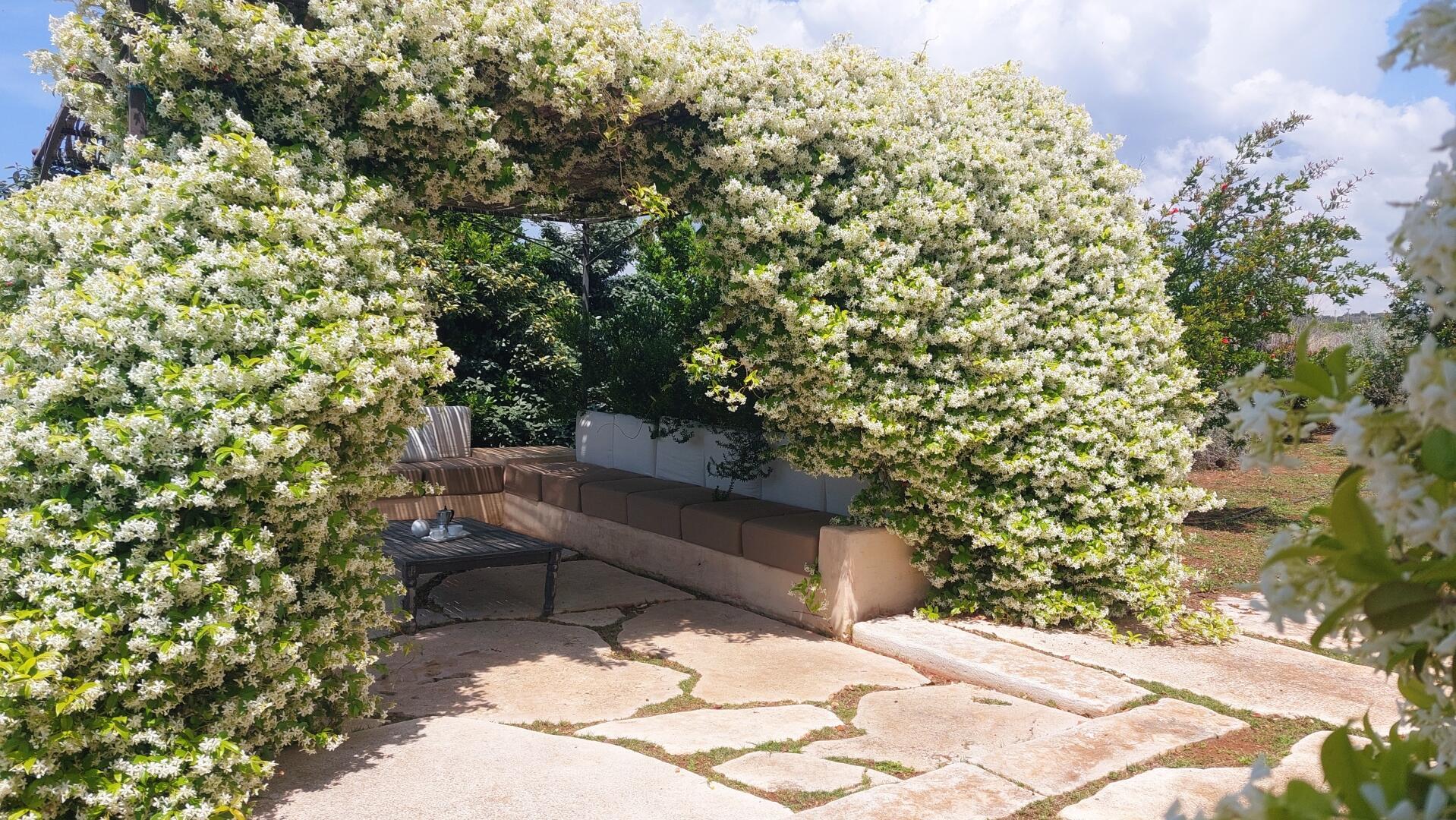 pergola with sofas and the sea view