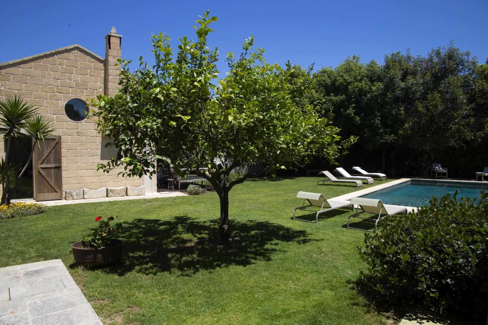 Garten mit Pool