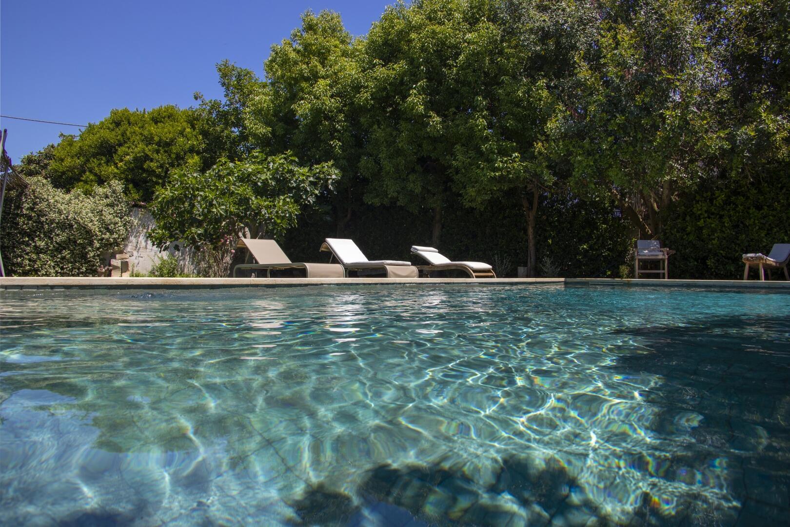 Garten mit Pool