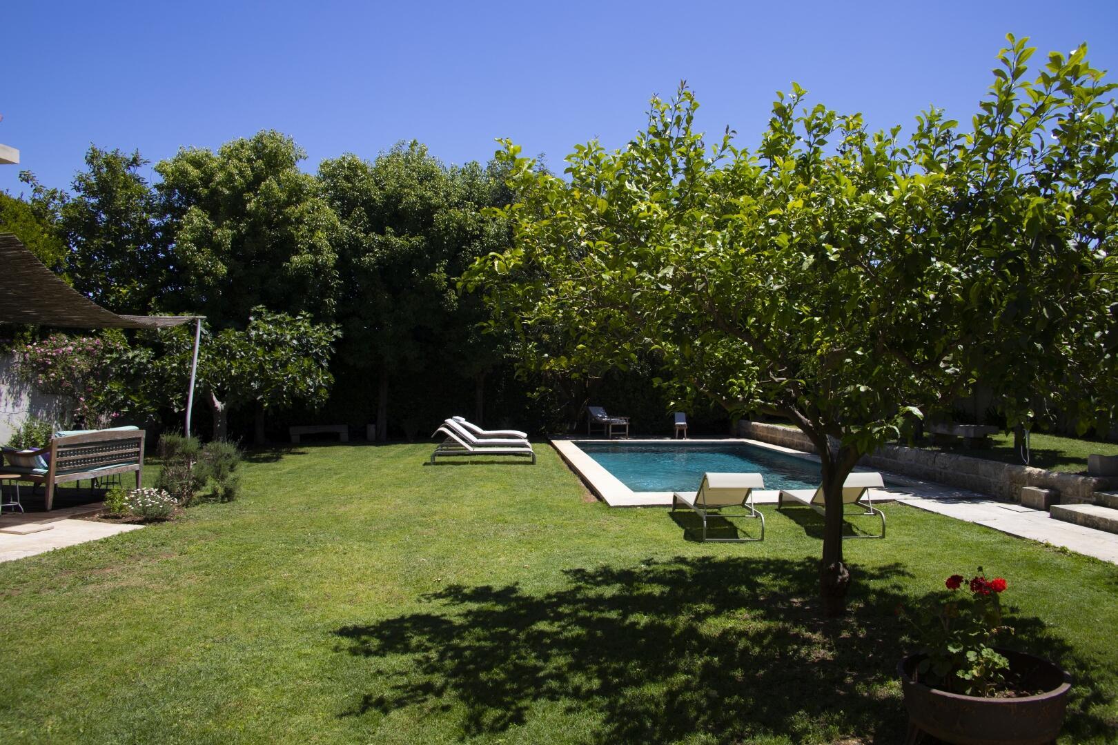 Garten mit Pool