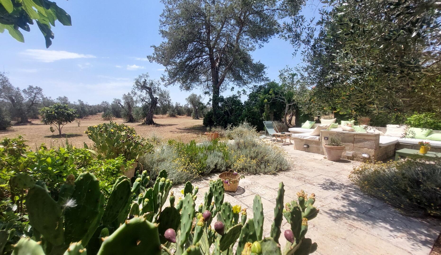 MASSERIA DON MATTIA - MAIN HOUSE