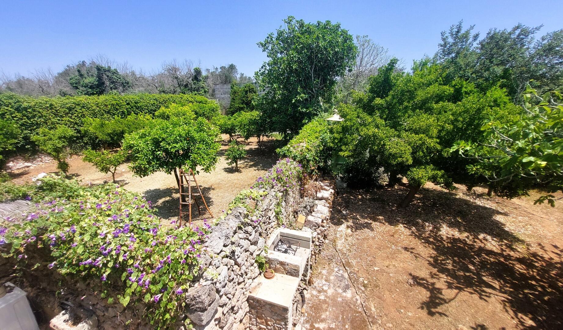 MASSERIA DON MATTIA - MAIN HOUSE