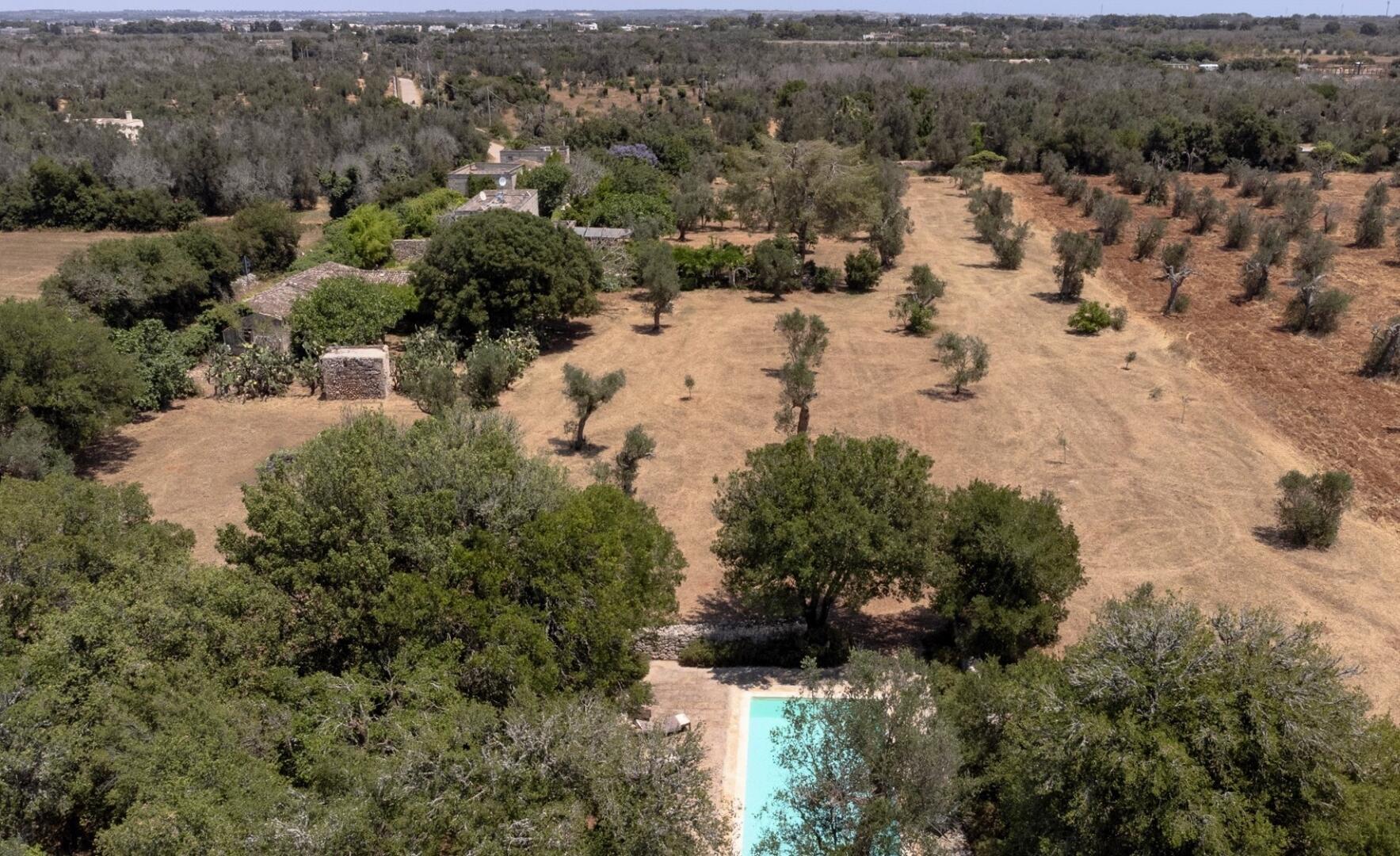 MASSERIA DON MATTIA - MAIN HOUSE
