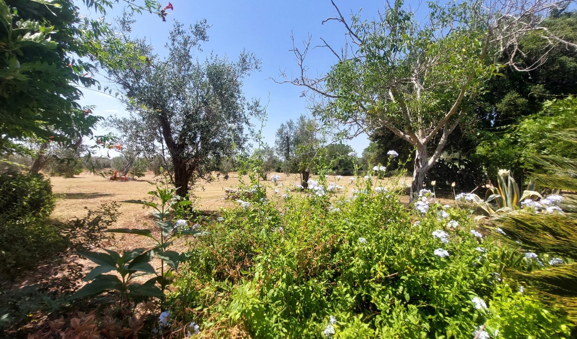 MASSERIA DON MATTIA - MAIN HOUSE