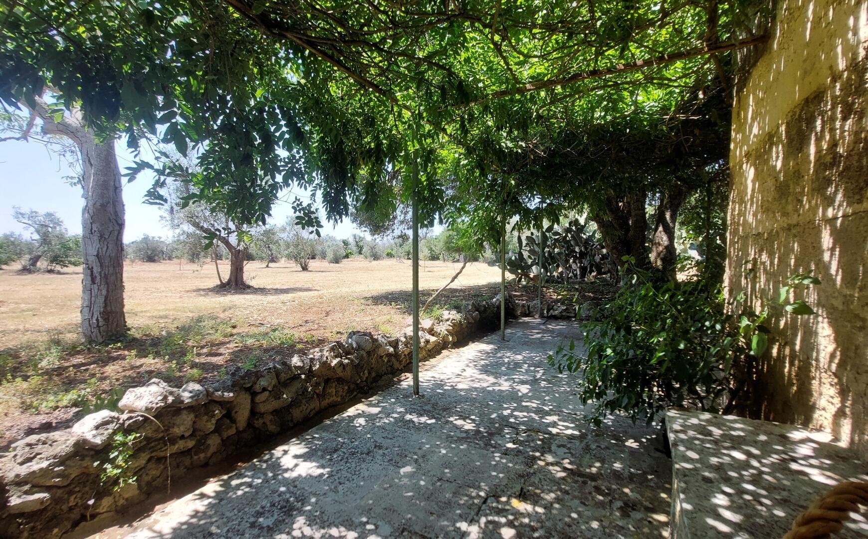 MASSERIA DON MATTIA - MAIN HOUSE