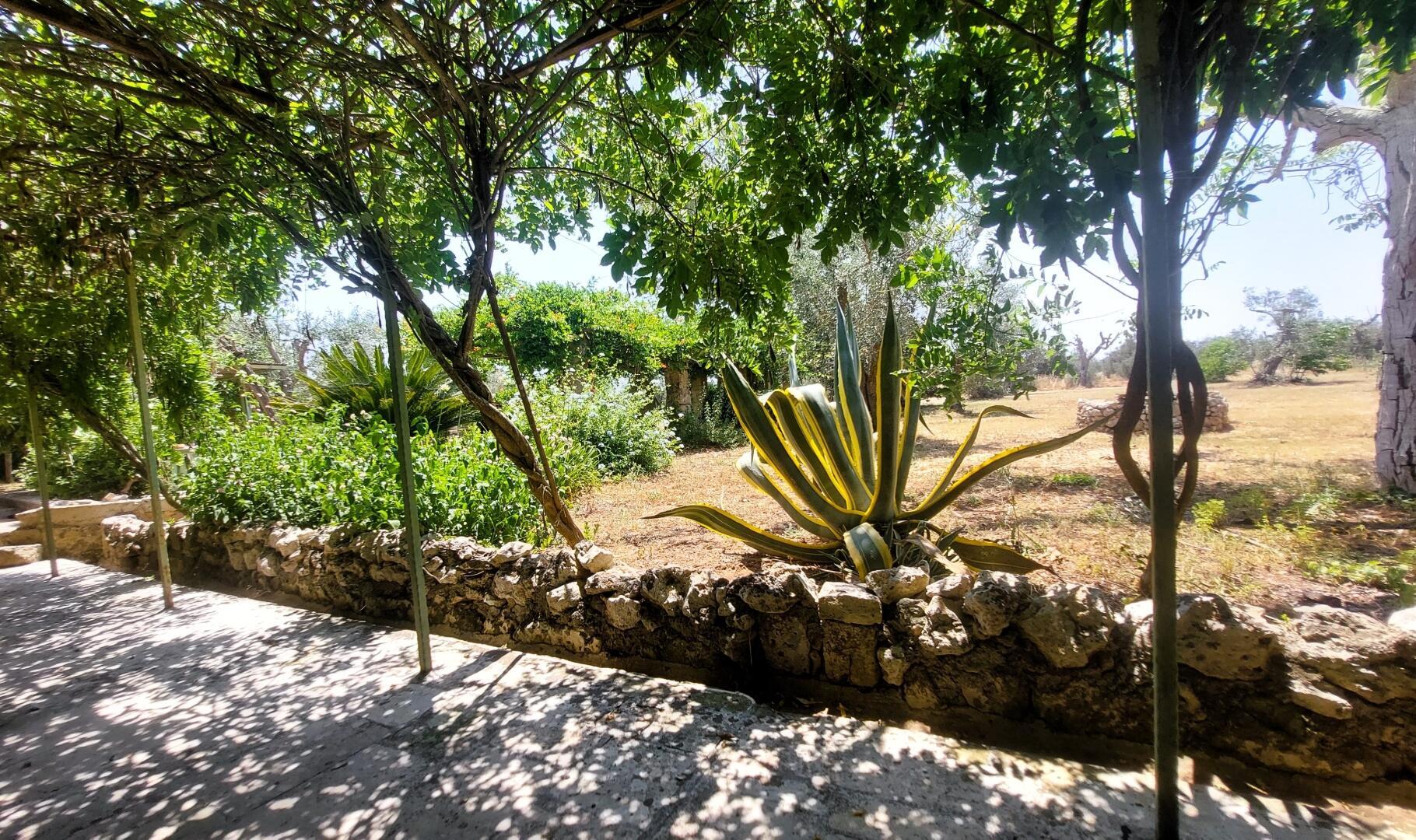 MASSERIA DON MATTIA - MAIN HOUSE