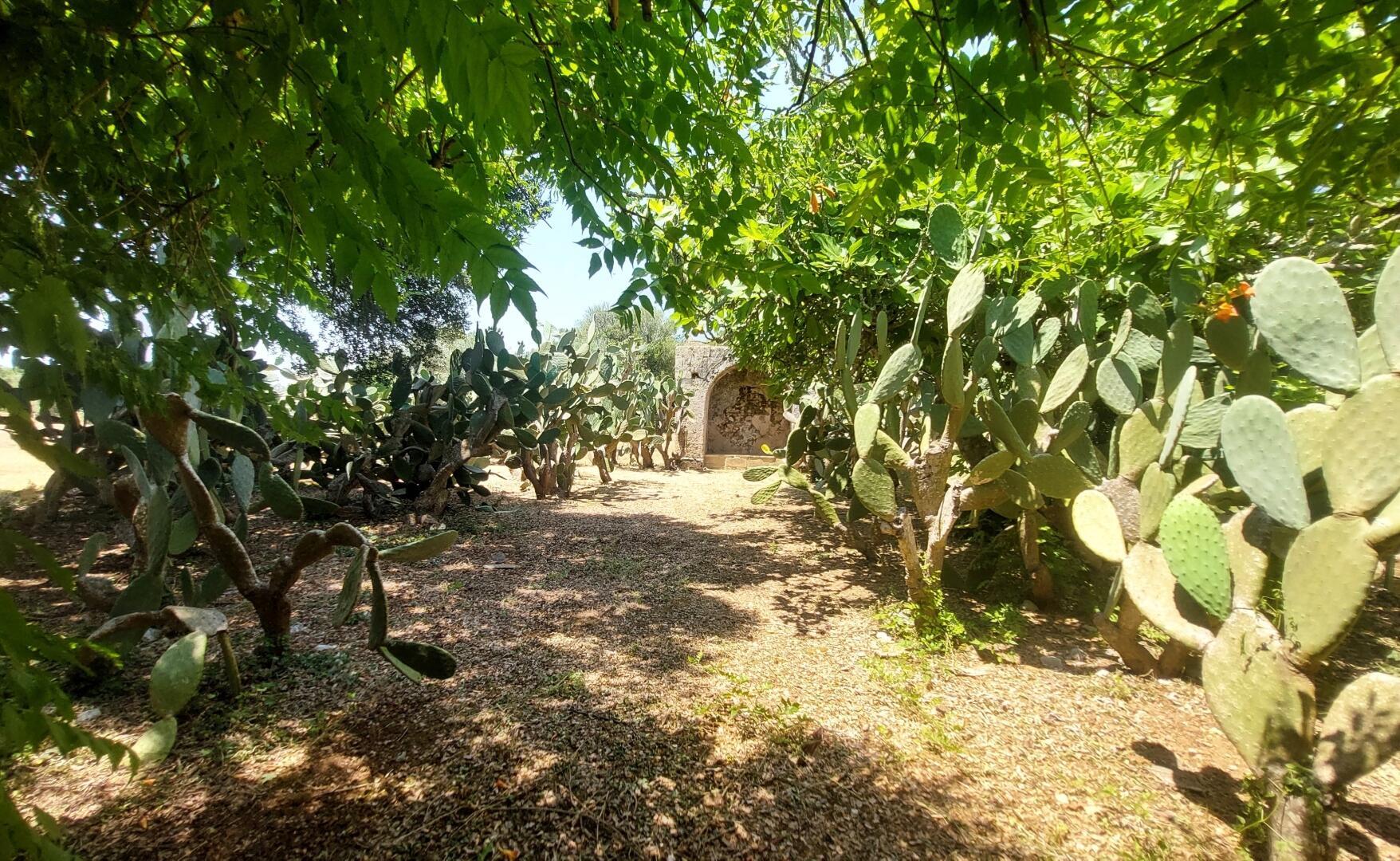 MASSERIA DON MATTIA - MAIN HOUSE