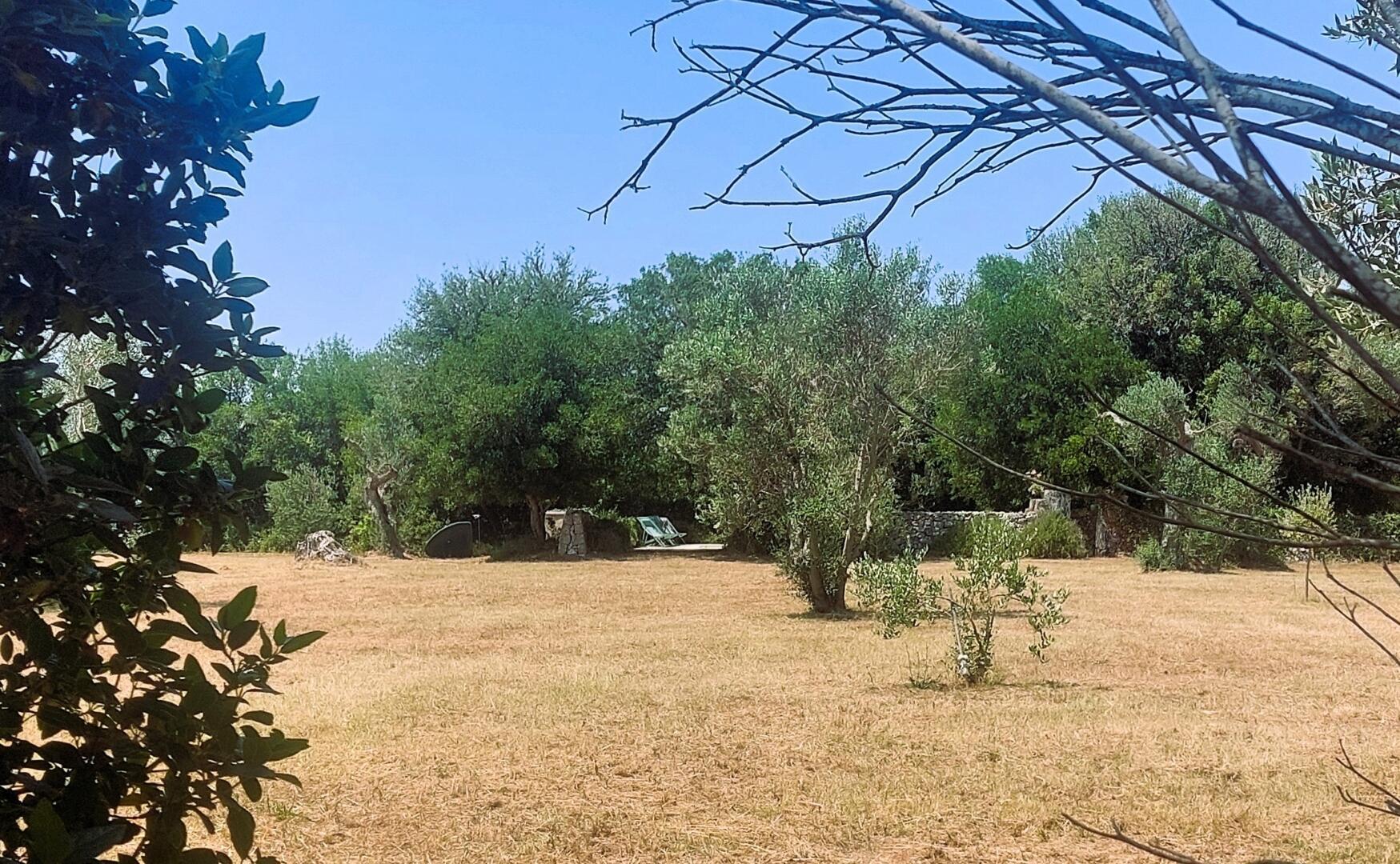 MASSERIA DON MATTIA - MAIN HOUSE