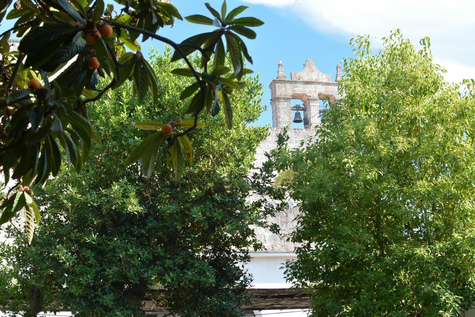 Cour - espace piscine & pergola aménagée