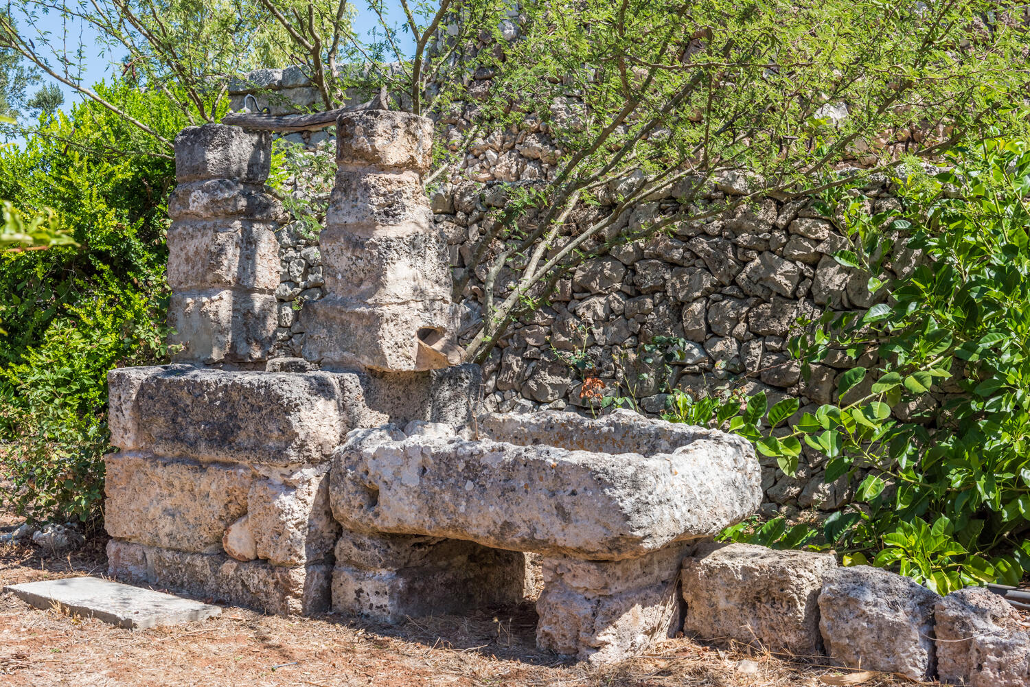 Détail du jardin