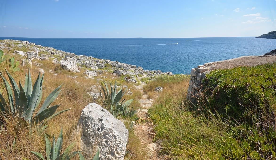 Sentiero comune di accesso alla caletta