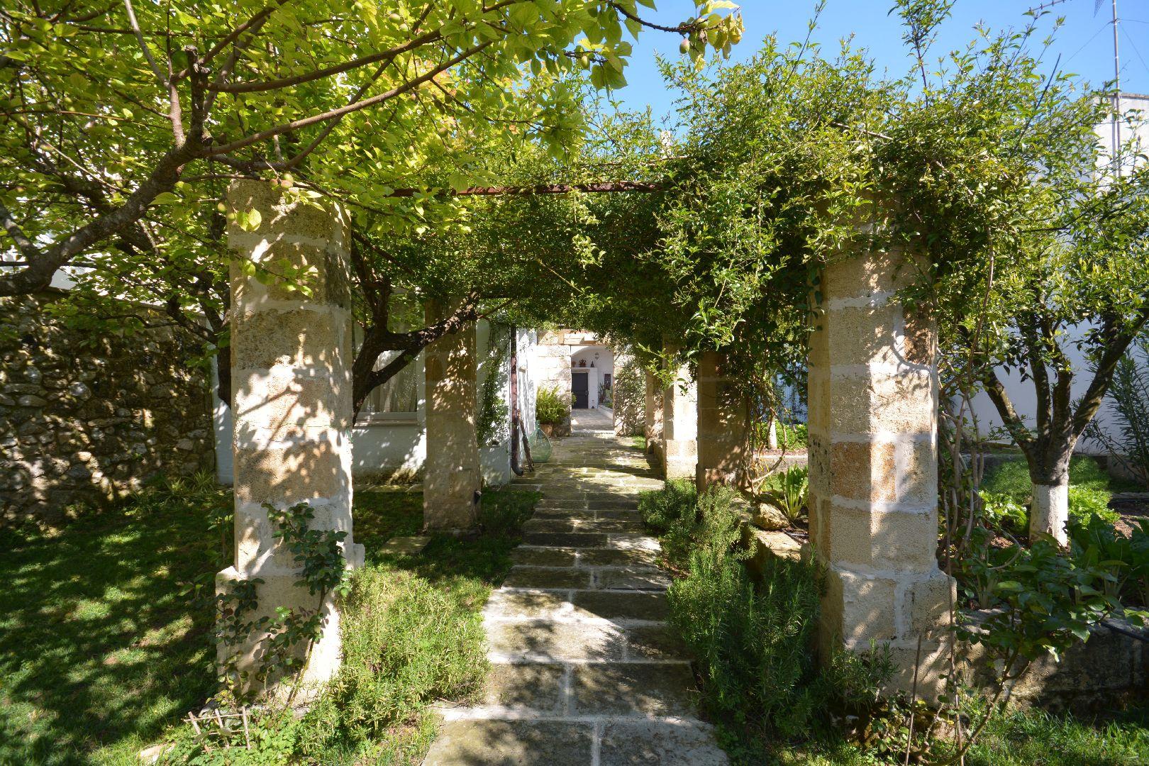 Giardino sul retro con pergola con orto