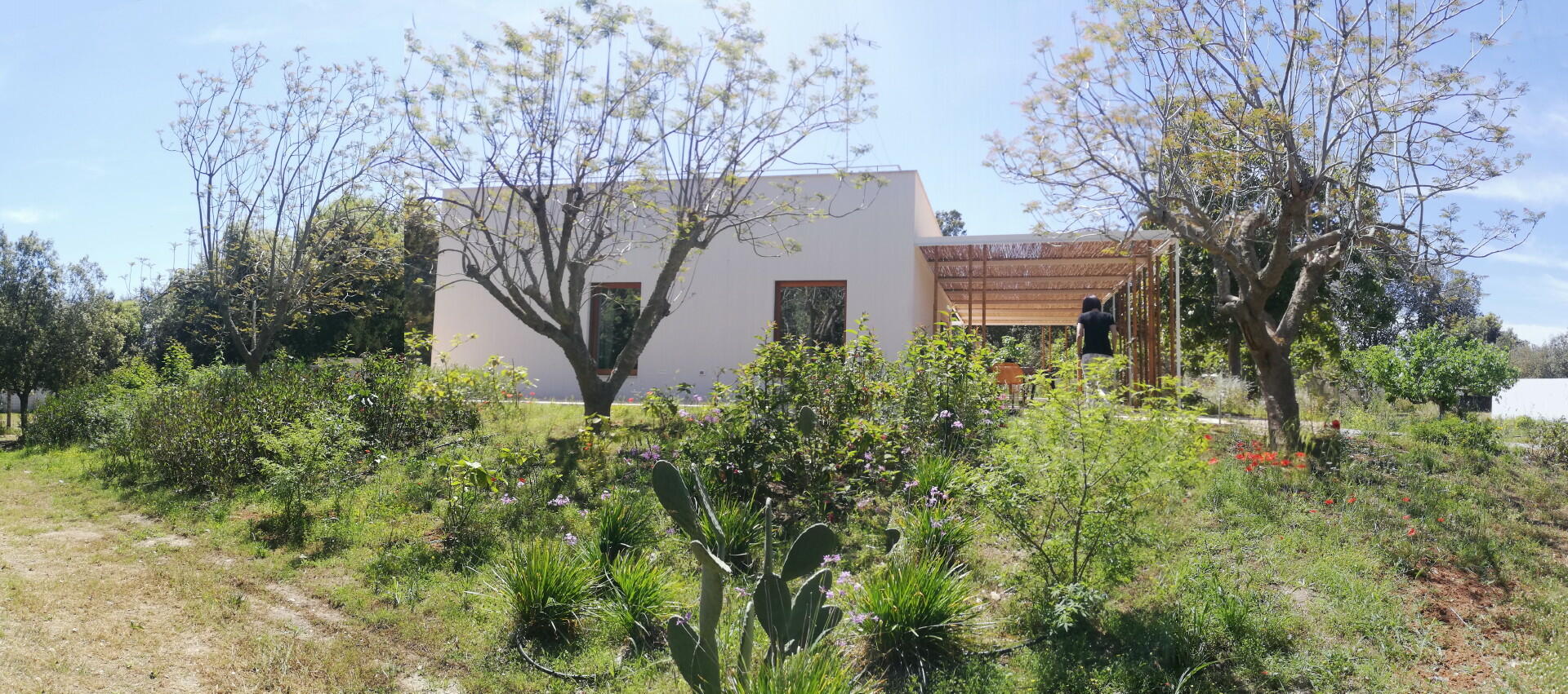 Garden around the villa