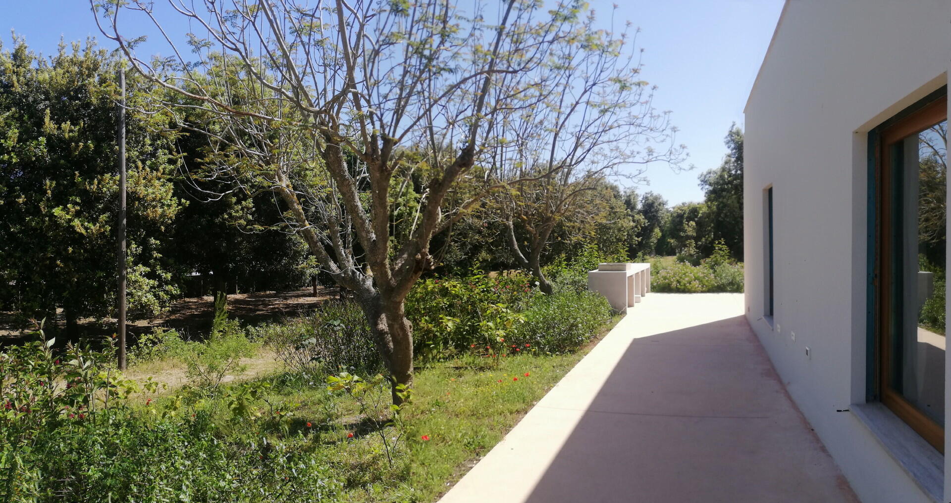 Garden around the villa 