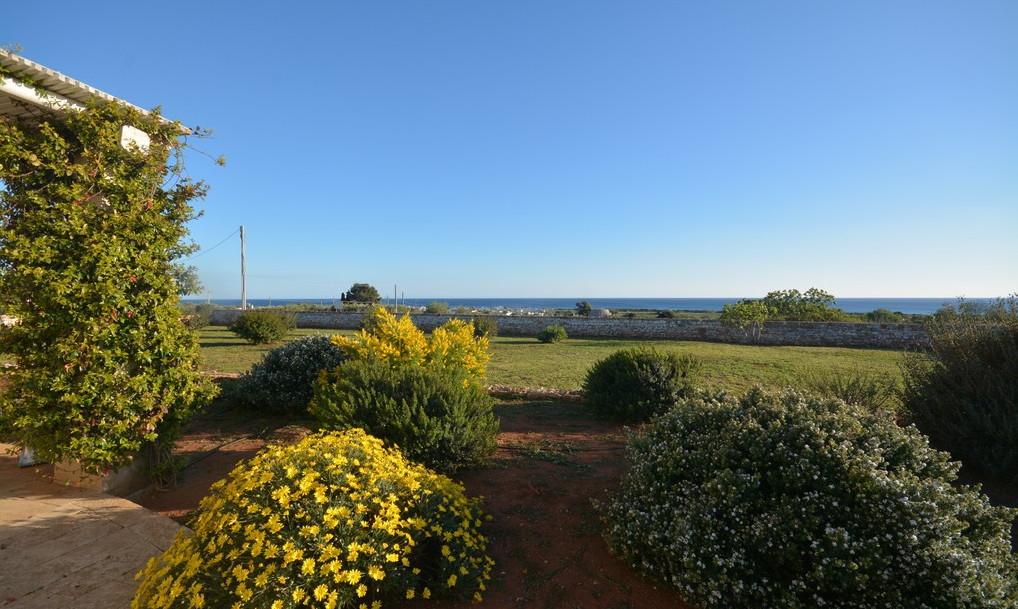 Jardin avec vue sur la mer